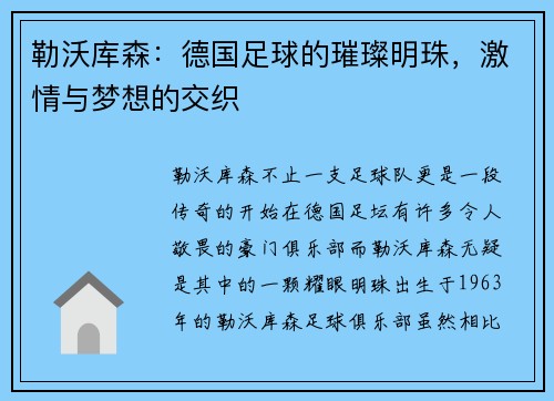 勒沃库森：德国足球的璀璨明珠，激情与梦想的交织