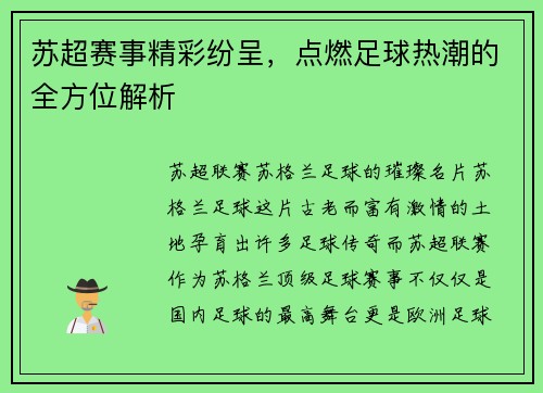 苏超赛事精彩纷呈，点燃足球热潮的全方位解析